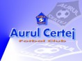 /album/aurul-certej/asas-jpg/